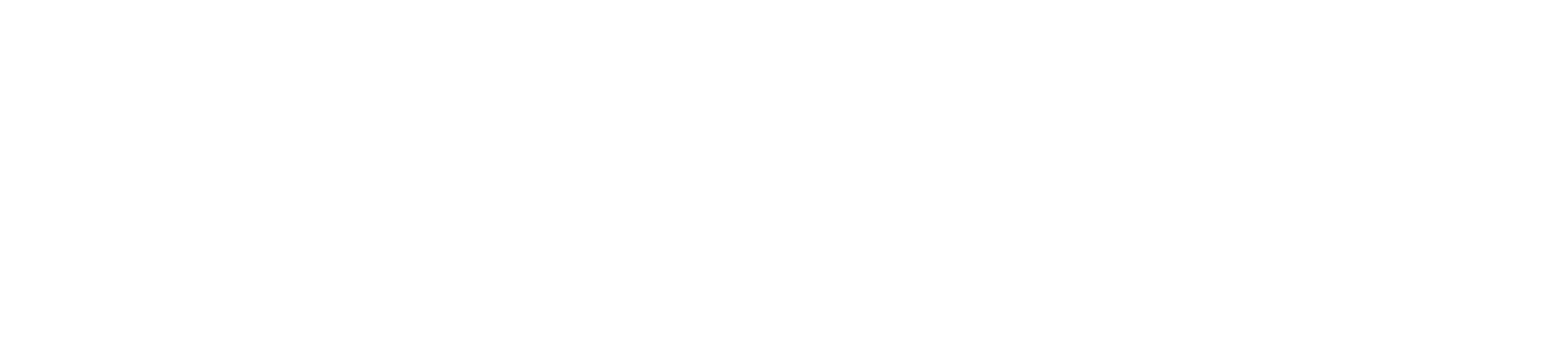 LeadsData